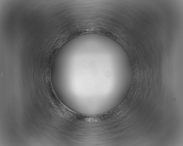 X0000060220272200510280919