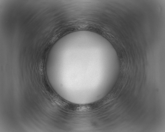 X0000060220274200510280919