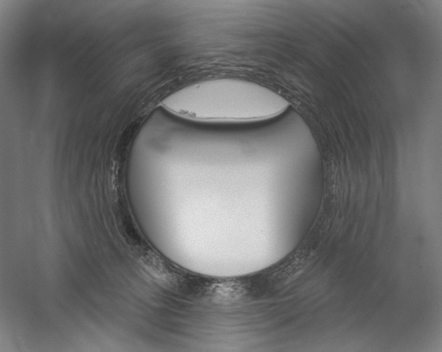 X0000060220275200510280919