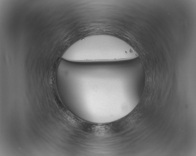 X0000060220277200510280919