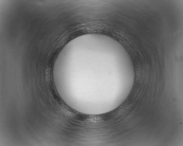 X0000060220278200510280919
