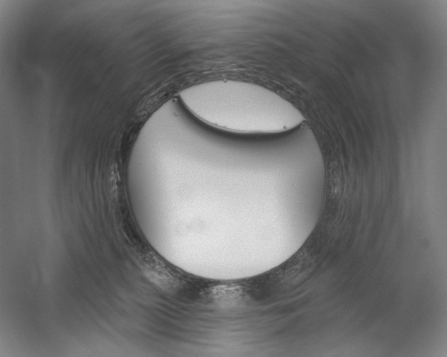 X0000060220279200510280919