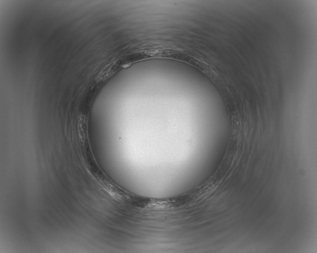 X0000060220280200510280919
