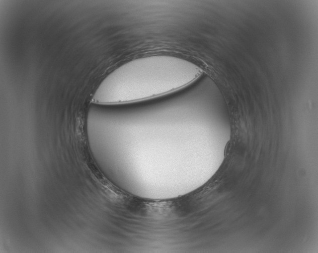 X0000060220281200510280919