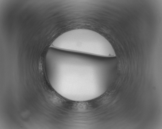 X0000060220282200510280919
