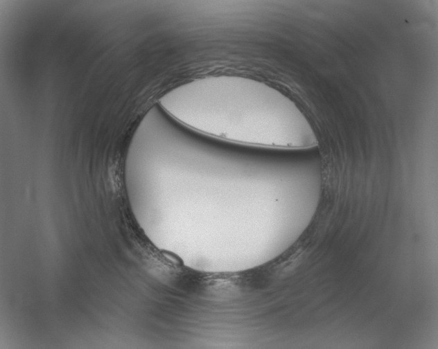 X0000060220285200510280919