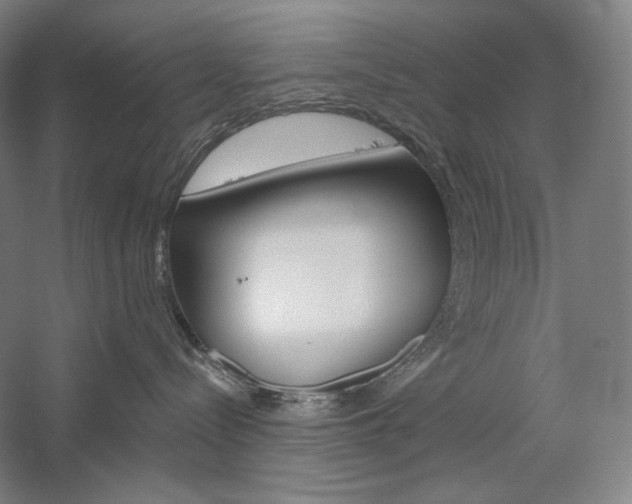 X0000060220288200510280919