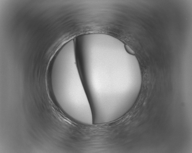 X0000060220290200510280919