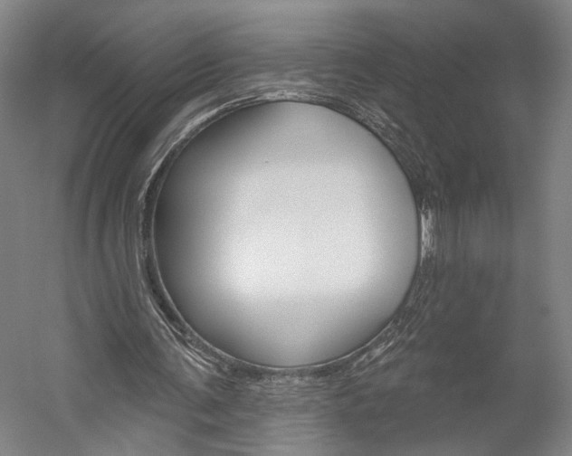 X0000060220291200510280919