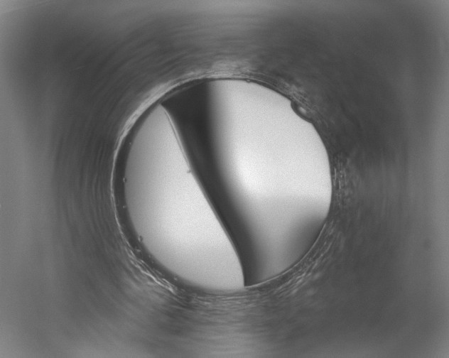X0000060220292200510280919