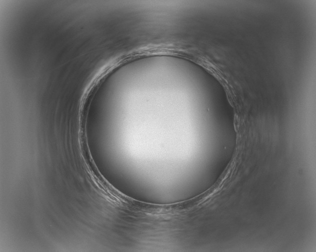 X0000060220293200510280919