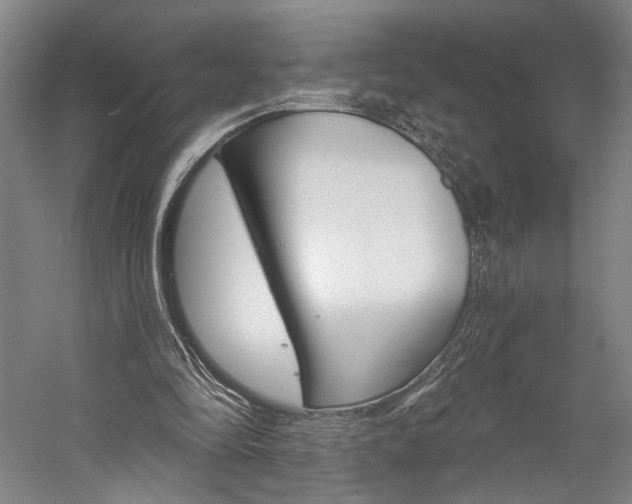 X0000060220294200510280919