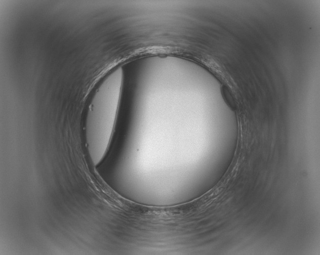 X0000060220297200510280918