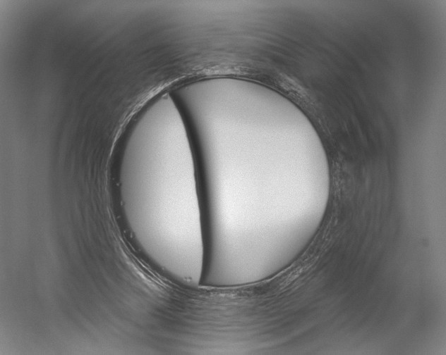X0000060220298200510280918