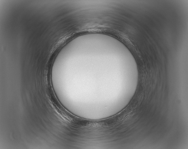 X0000060220299200510280918