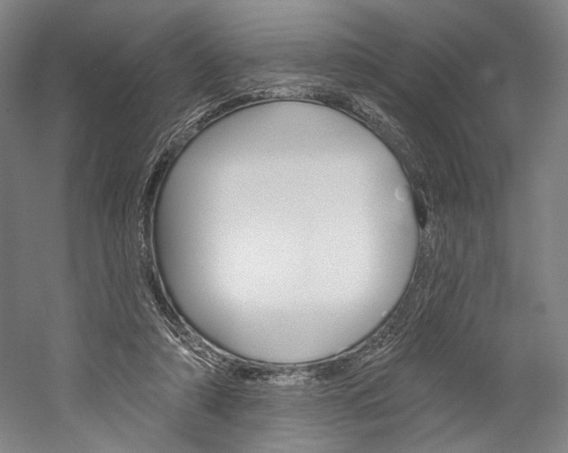 X0000060220306200510280918