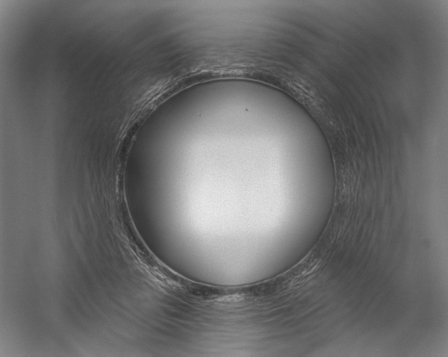 X0000060220309200510280918