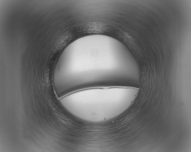 X0000060220312200510280918