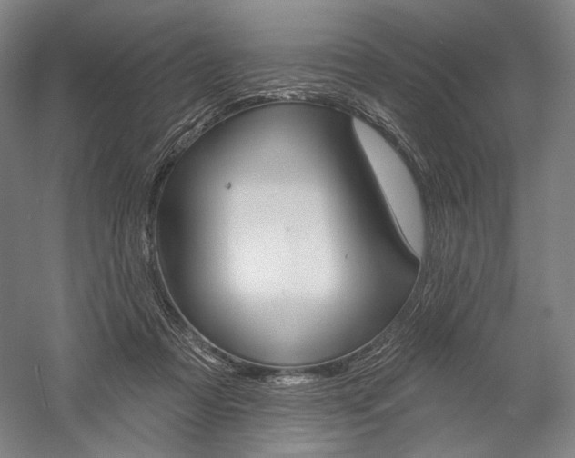X0000060220313200510280918
