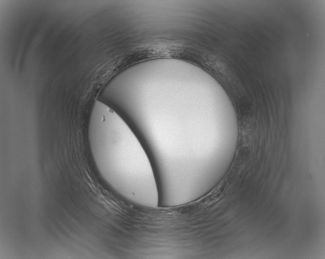 X0000060220314200510280918