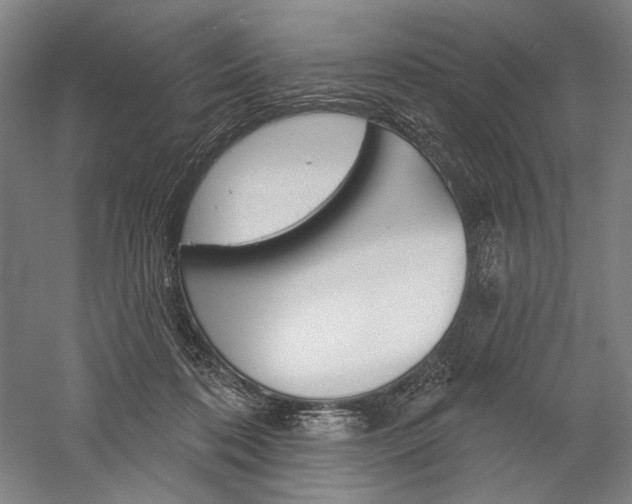 X0000060220316200510280918