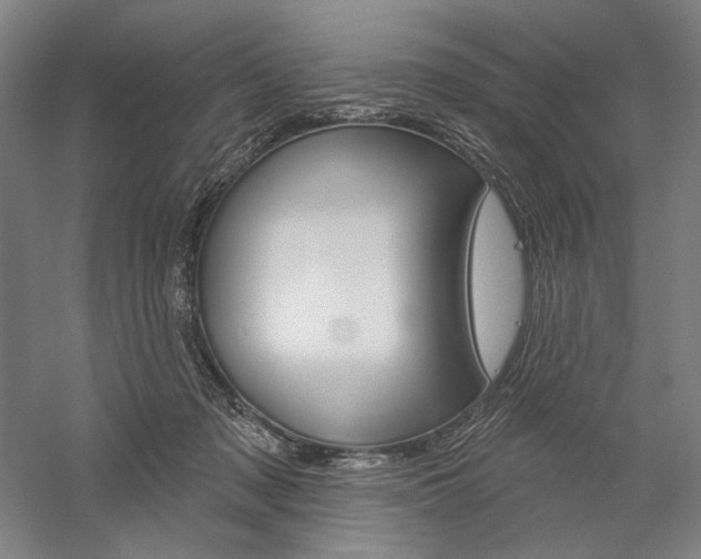 X0000060220317200510280918