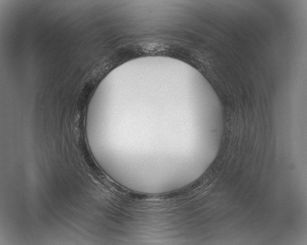 X0000060220319200510280918