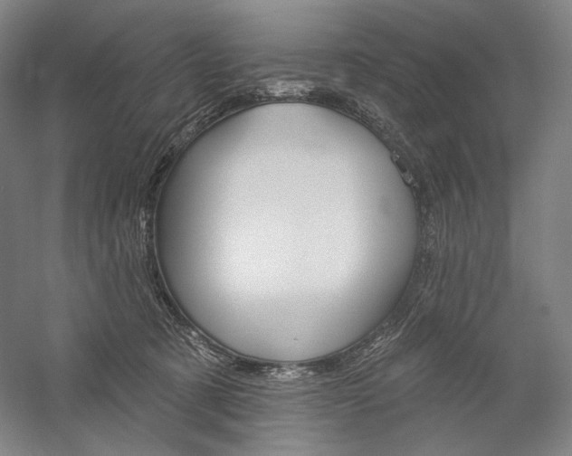 X0000060220321200510280918