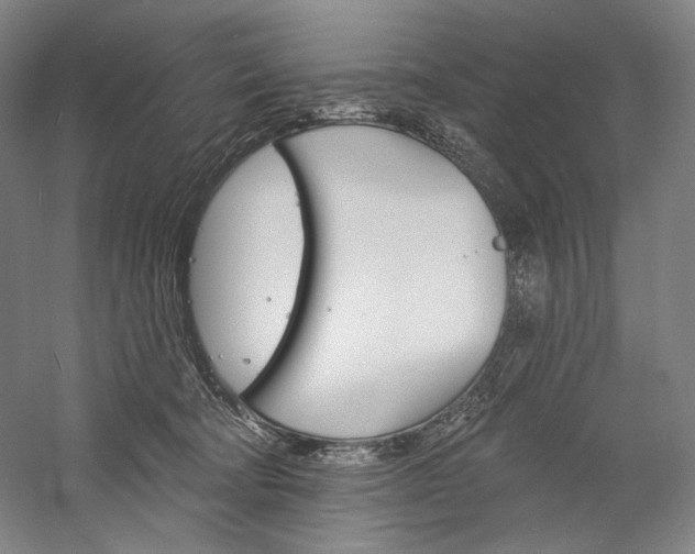 X0000060220322200510280918