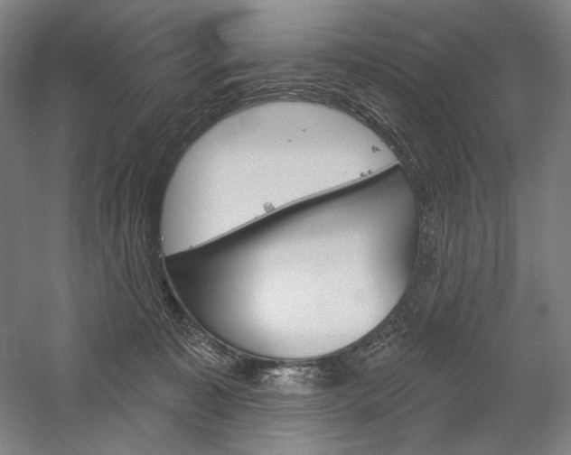 X0000060220323200510280918