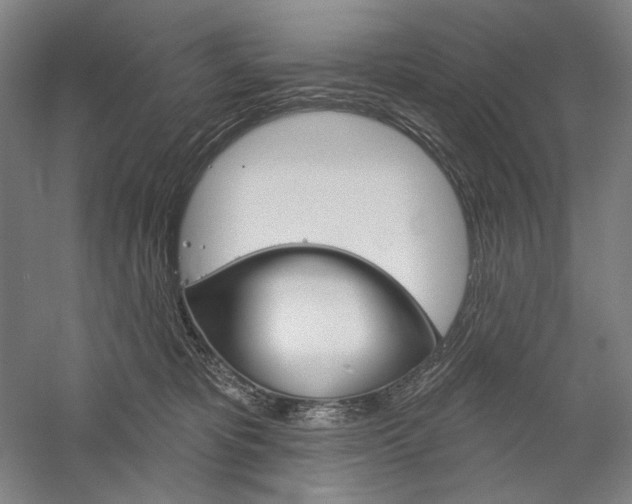 X0000060220325200510280918