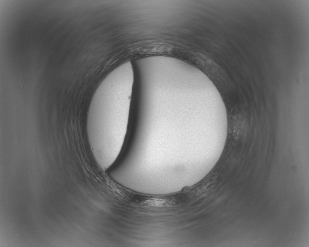 X0000060220326200510280918