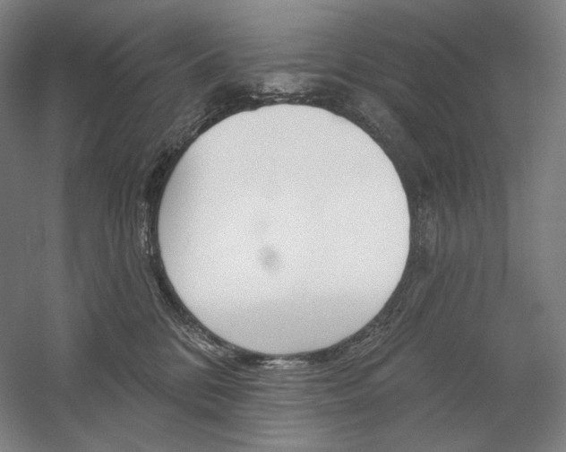 X0000060220328200510280918