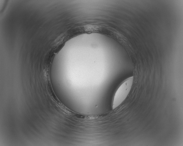 X0000060220329200510280918
