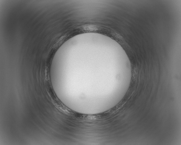 X0000060220330200510280918