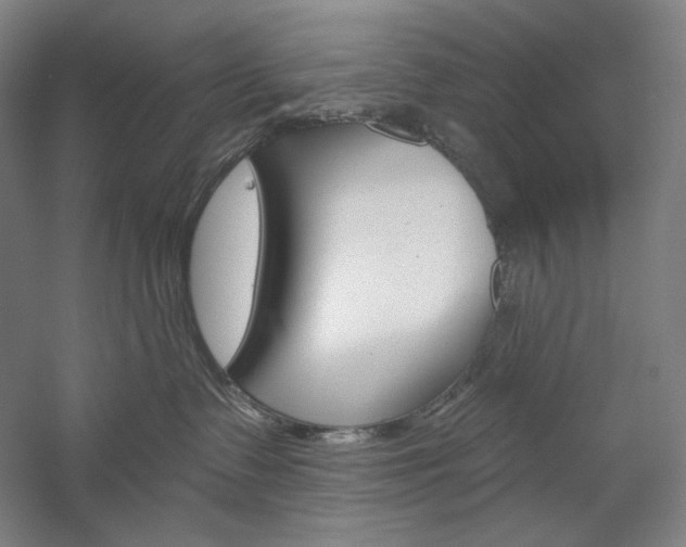 X0000060220335200510280918