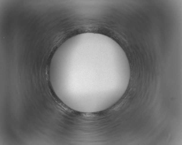 X0000060220336200510280918