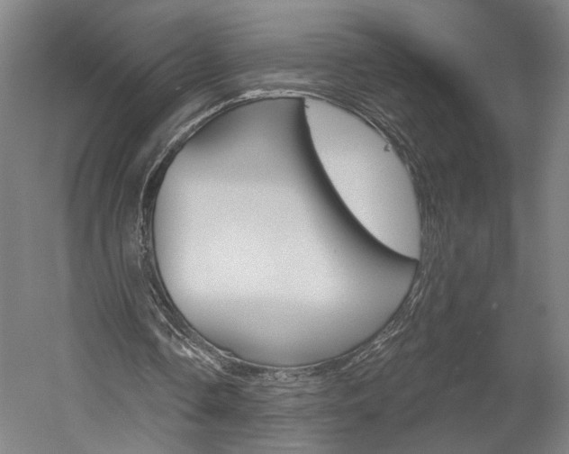 X0000060220338200510280917