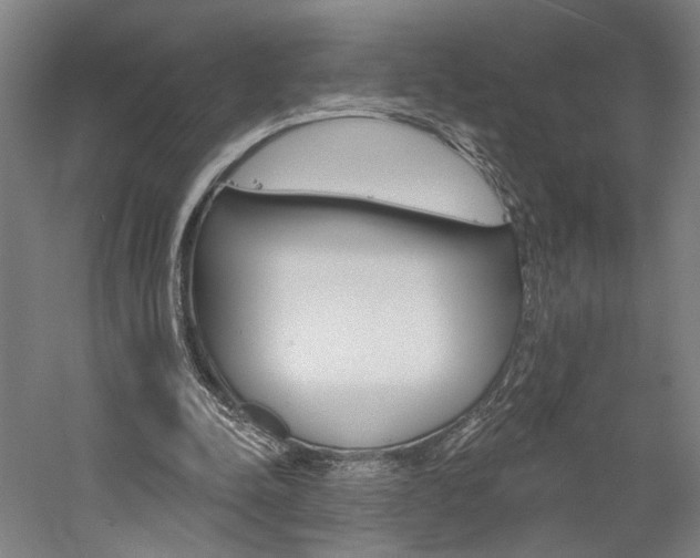 X0000060220342200510280917