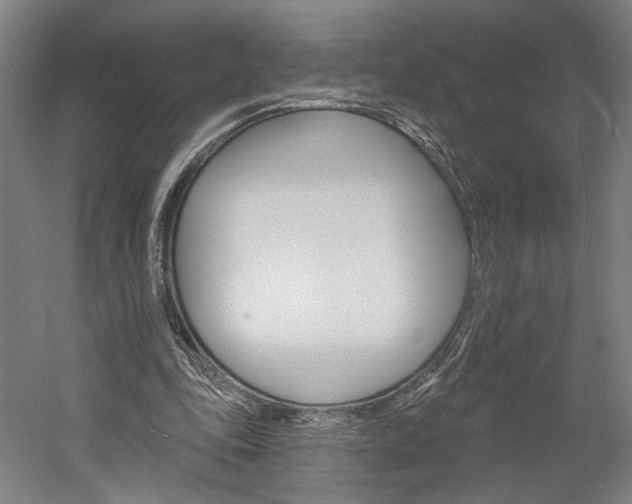 X0000060220343200510280917