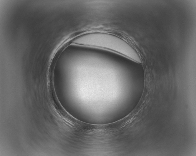 X0000060220344200510280917