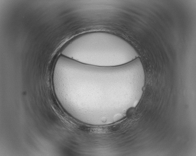 X0000060220347200510280917
