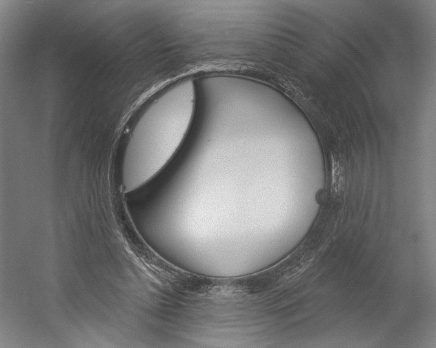 X0000060220348200510280917