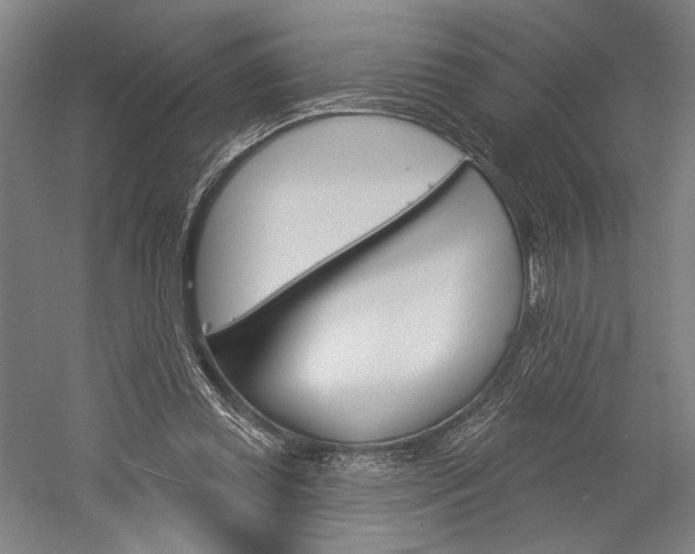X0000060220349200510280917