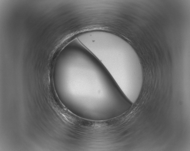 X0000060220350200510280917