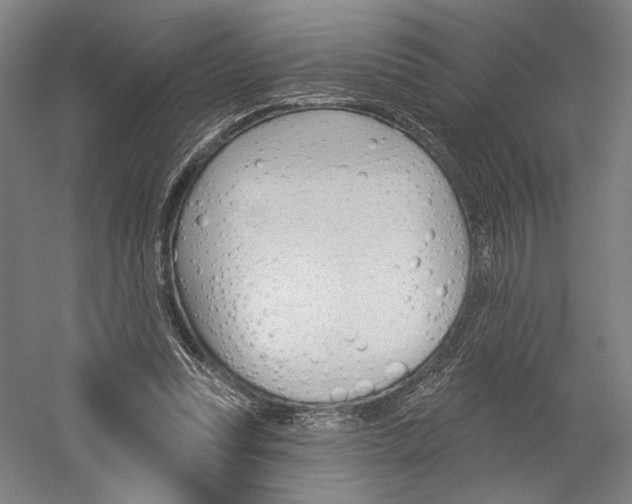 X0000060220351200510280917