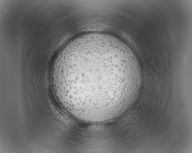 X0000060220354200510280917