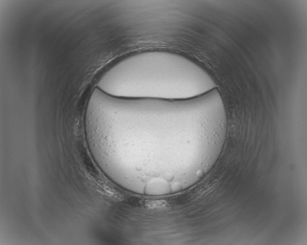 X0000060220355200510280917