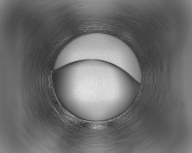 X0000060220360200510280917