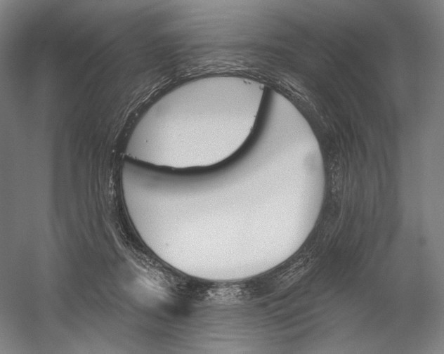 X0000060220362200510280917